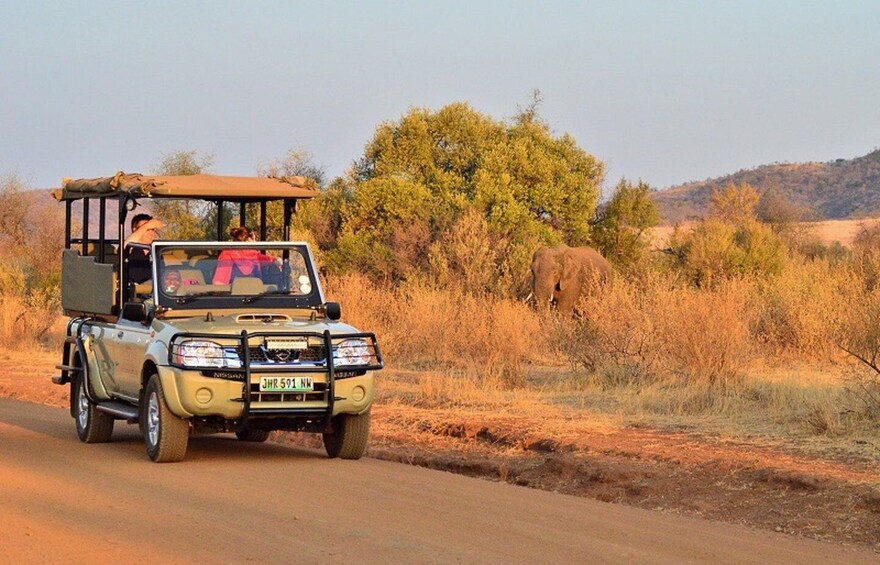 Pilanesberg Full-Day Shared Safari with Sun City Visit