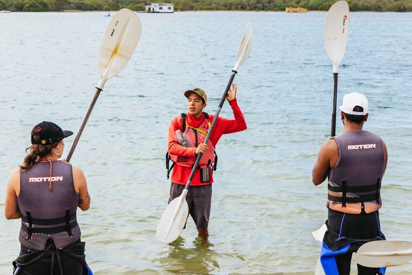 Picture 6 for Activity Gold Coast: Wave Break Island Kayaking & Snorkeling tour