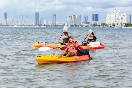 Côte d'Or : Excursion en kayak et plongée en apnée sur l'île de Wave Break