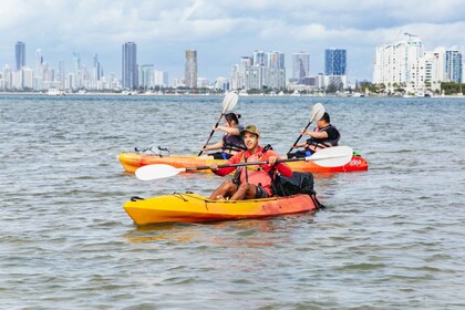 Goudkust: Wave Break Island Kajakken & Snorkelen tour