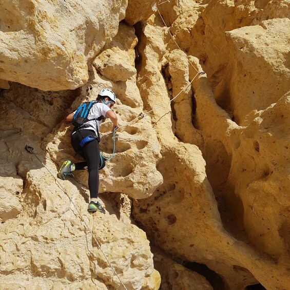 Picture 3 for Activity South of France: 4-Hour Philemon Crossing Adventure Course