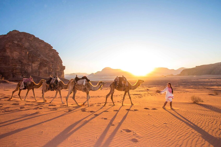 Picture 1 for Activity From Aqaba: Jeep Tour to Wadi Rum Desert