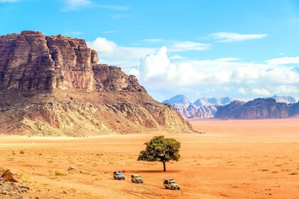 Von Aqaba aus: Jeeptour zur Wüste Wadi Rum