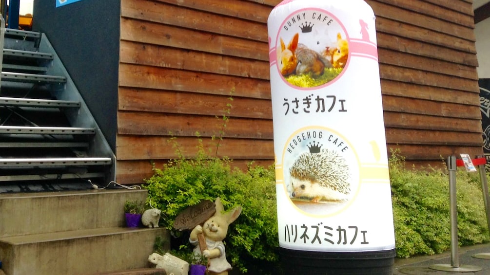 Outside the Hedgehog petting building