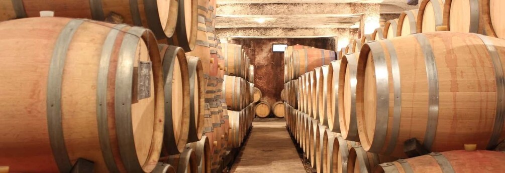 Picture 3 for Activity Burgundy: Domaine de Montmain Cellar Visit and Wine Tasting