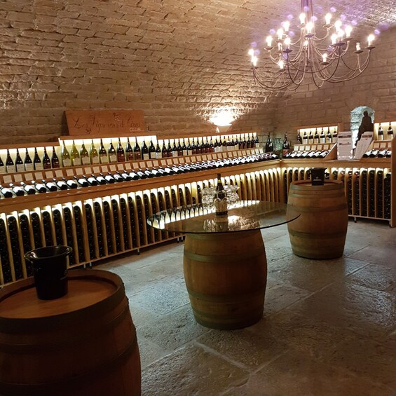 Picture 4 for Activity Burgundy: Domaine de Montmain Cellar Visit and Wine Tasting