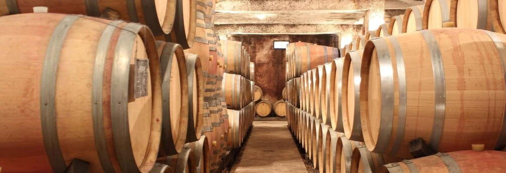 Picture 3 for Activity Burgundy: Domaine de Montmain Cellar Visit and Wine Tasting