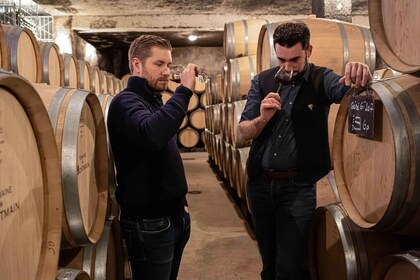 Burgundy: Domaine de Montmain Cellar Visit and Wine Tasting