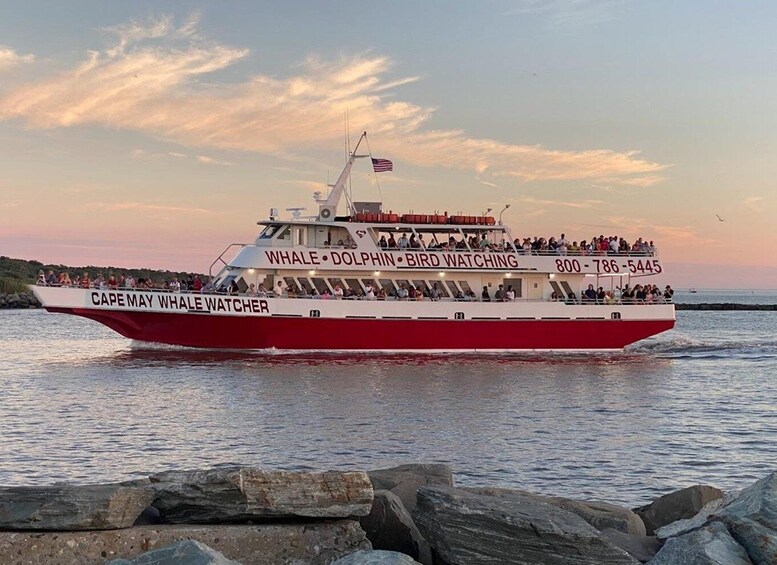 Picture 18 for Activity Cape May: Cape May Island Sunset Cruise & Dolphin Watching