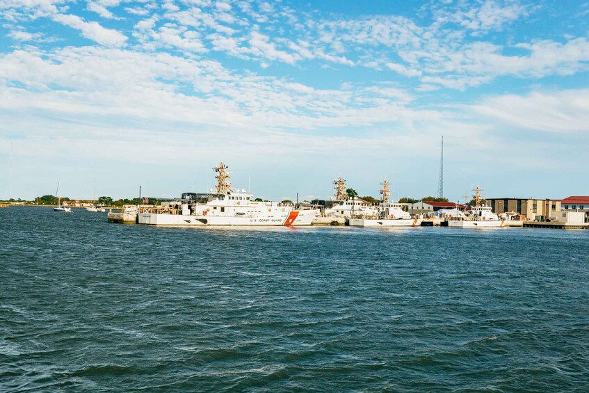 Picture 11 for Activity Cape May: Cape May Island Sunset Cruise & Dolphin Watching
