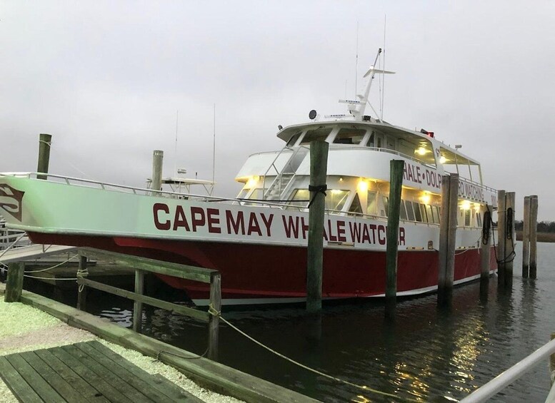 Picture 17 for Activity Cape May: Cape May Island Sunset Cruise & Dolphin Watching