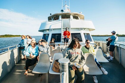 Cape May: Cape May Island Sunset Cruise & Dolphin Watching