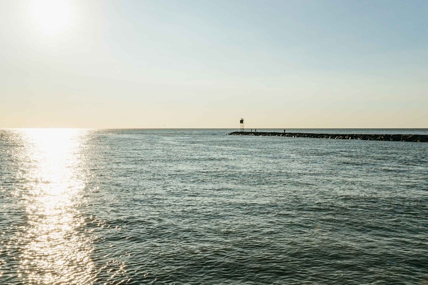 Picture 14 for Activity Cape May: Cape May Island Sunset Cruise & Dolphin Watching