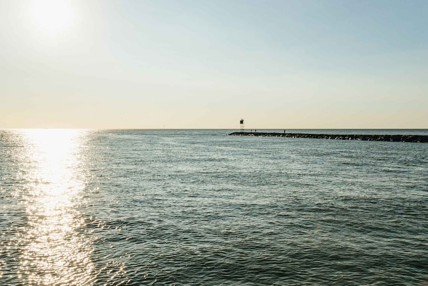 Picture 14 for Activity Cape May: Cape May Island Sunset Cruise & Dolphin Watching