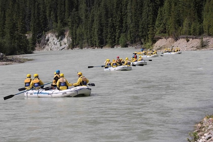 Kicking Horse River: Half-Day Intro to Whitewater Rafting