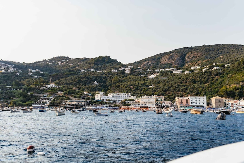 Picture 1 for Activity From Sorrento: Capri Guided Boat Tour & Ieranto Natural Park