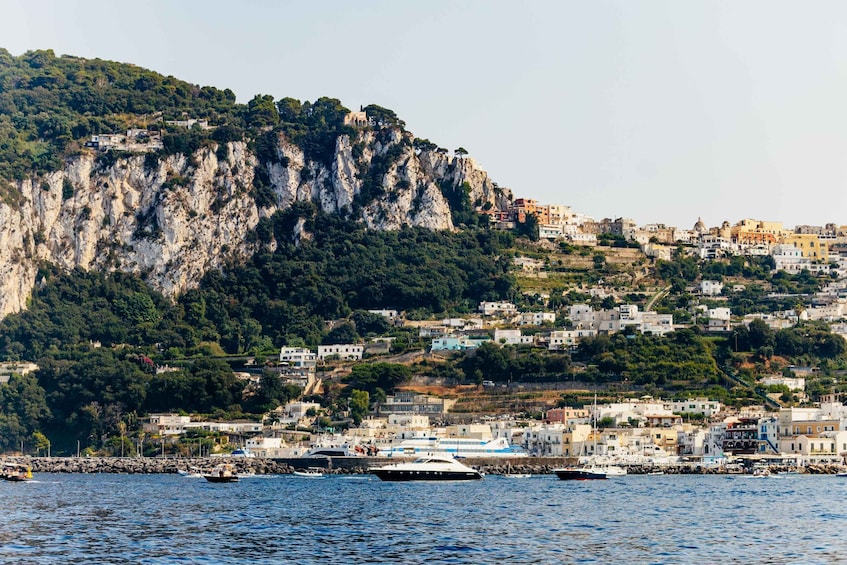 Picture 13 for Activity From Sorrento: Capri Guided Boat Tour & Ieranto Natural Park