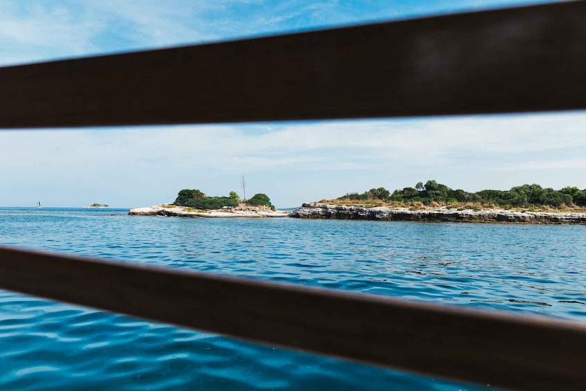 Picture 6 for Activity Rovinj: Sunset Cruise with Swim Stop, Drinks, and Fruits