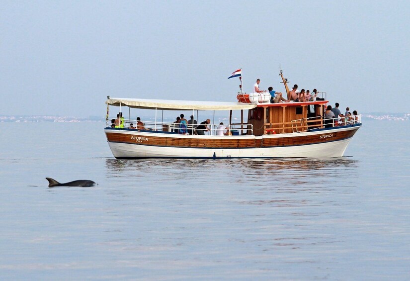 Picture 9 for Activity Rovinj: Sunset Cruise with Swim Stop, Drinks, and Fruits