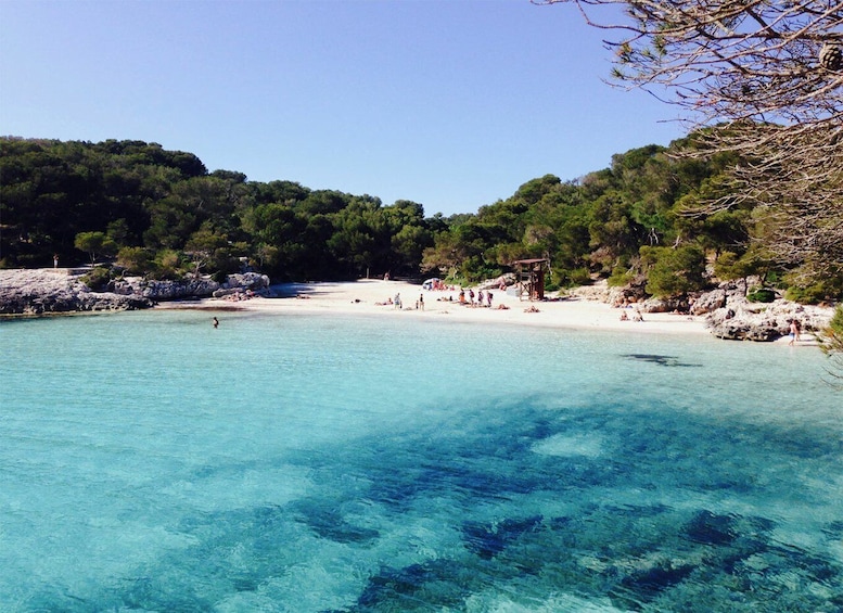 Picture 1 for Activity From Cala Galdana: 2-Hour Glass-Bottom Boat Trip