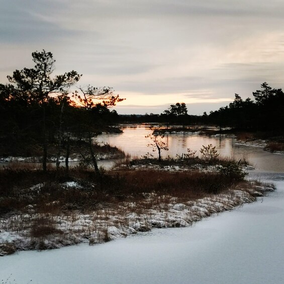 Picture 5 for Activity Kemeri National Park Bog Trail near Riga