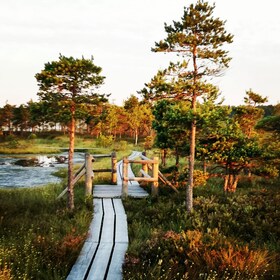 Sentier des tourbières du parc national de Kemeri, près de Riga