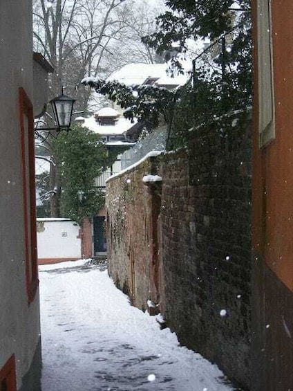 Picture 14 for Activity Heidelberg: 2-Hour Walking Tour with Night Watchman