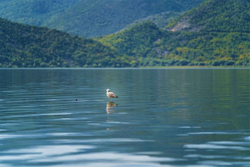 Picture 17 for Activity From Virpazar: Visit Karuč, the hidden pearl of Lake Skadar