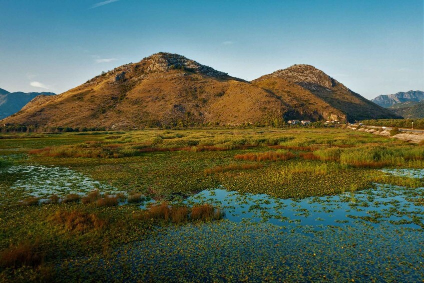 Picture 16 for Activity From Virpazar: Visit Karuč, the hidden pearl of Lake Skadar