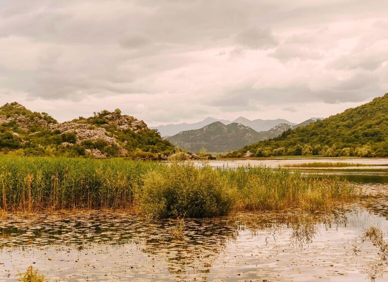 Picture 3 for Activity From Virpazar: Visit Karuč, the hidden pearl of Lake Skadar