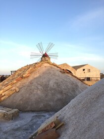 Trapani: 2-tuntinen Salt Flats Tour (Suolalakeuksien kiertoajelu)