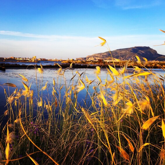 Picture 4 for Activity Trapani: 2-Hour Salt Flats Tour