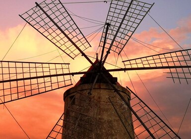 Saline di Trapani: 2h 30 min di tour del sale
