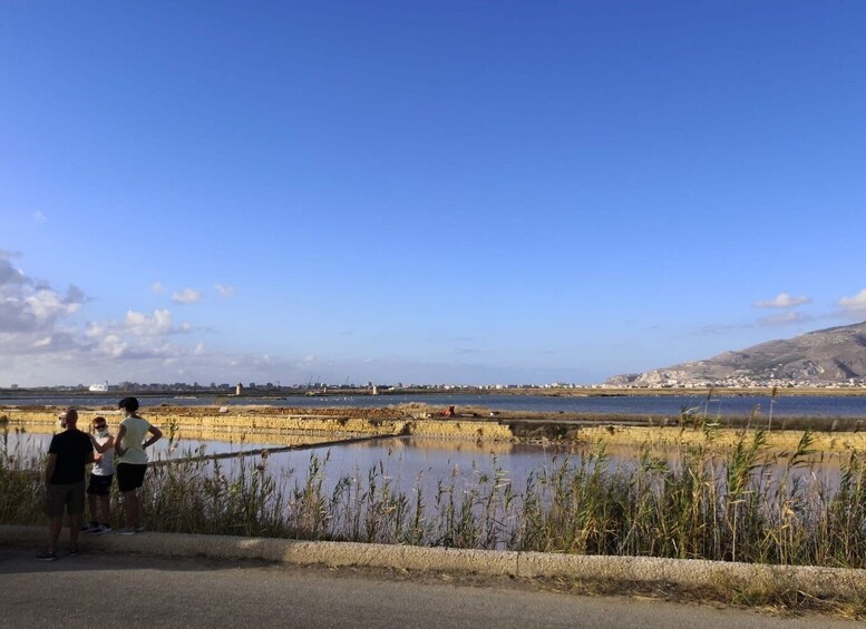 Picture 3 for Activity Trapani: 2-Hour Salt Flats Tour