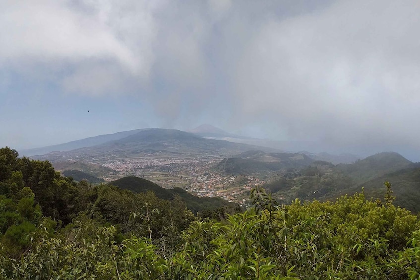 Picture 3 for Activity Tenerife: Anaga UNESCO VIP TOUR