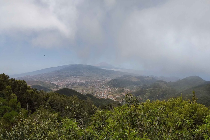 Picture 3 for Activity Tenerife: Anaga UNESCO VIP TOUR