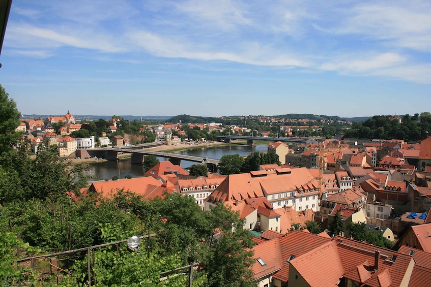 Picture 4 for Activity Meißen: Guided Wine Tasting Tour with Böttger