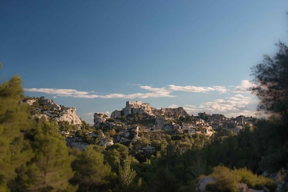 Au départ d'Arles : Parc régional des Alpilles Provence 4x4 Safari