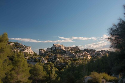 Vanuit Arles: Regionaal Park Alpilles Provence 4x4 Safari