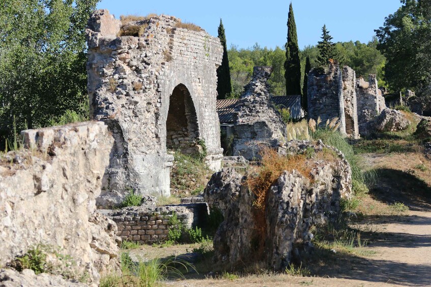 Picture 6 for Activity From Arles: Alpilles Regional Park Provence 4x4 Safari