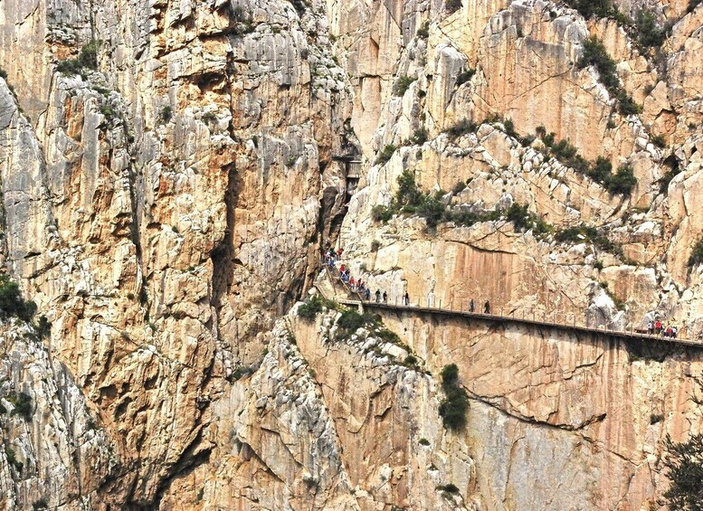 Picture 10 for Activity From Costa del Sol: Caminito del Rey Day Trip