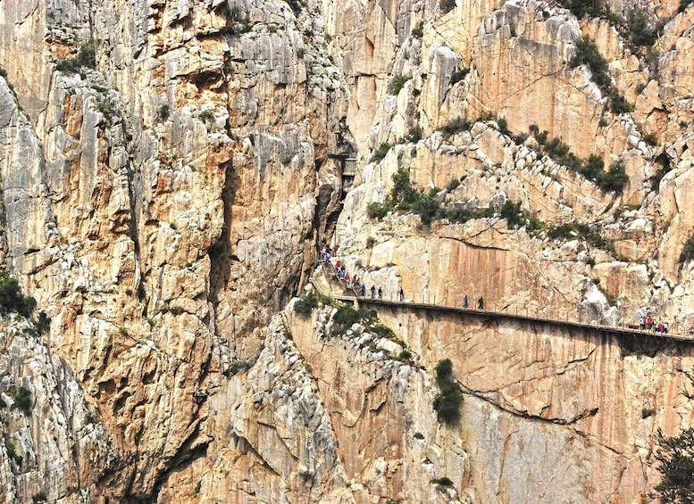 Picture 10 for Activity From Costa del Sol: Caminito del Rey Day Trip