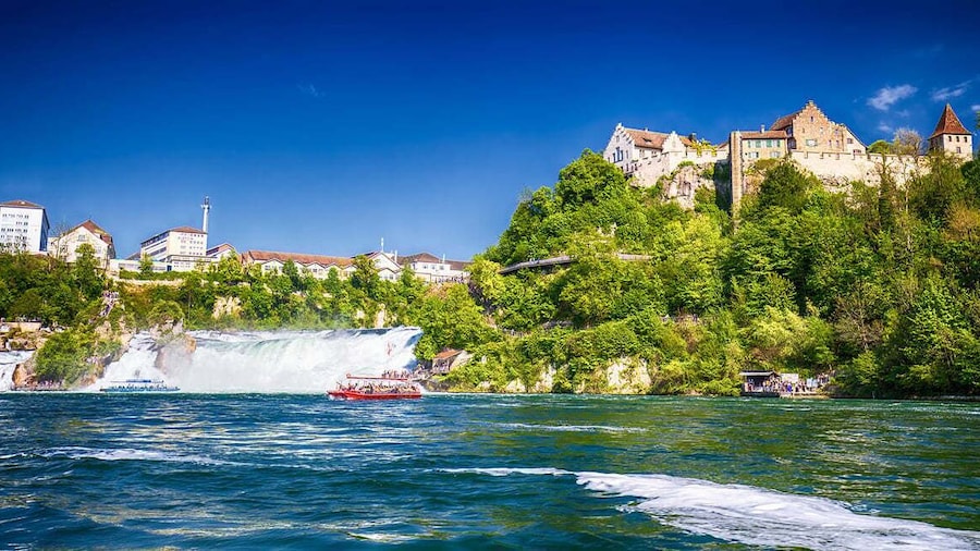 Private Tour from Zurich to Rhine Falls and Black Forest