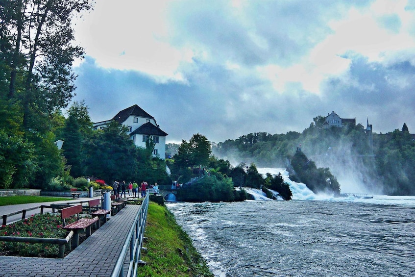 Picture 14 for Activity Private Tour from Zurich to Titisee-Neustadt and Rhine Falls
