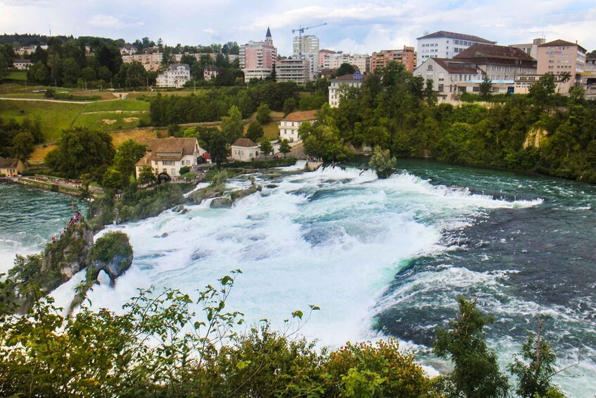 Picture 6 for Activity Private Tour from Zurich to Rhine Falls and Black Forest