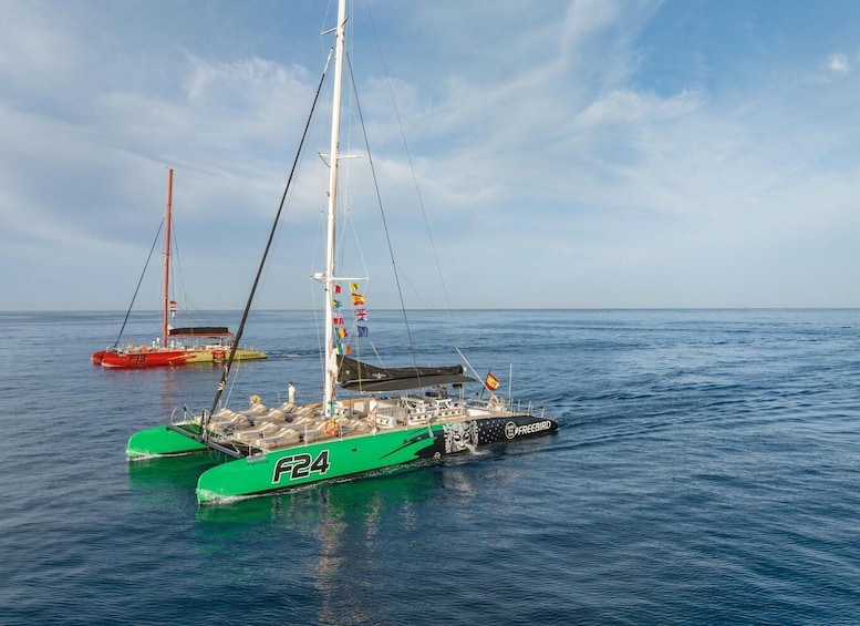 Costa Adeje: Whale Watching Tour with Food and Drinks