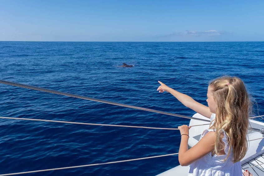 Picture 5 for Activity Costa Adeje: Whale Watching Tour with Food and Drinks
