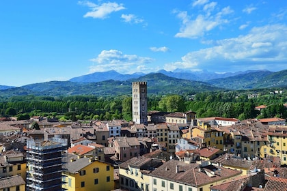 Lucca: wandeltocht langs de hoogtepunten van de stad