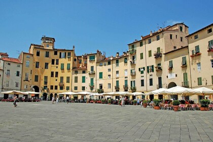 Lucca: wandeltocht langs de hoogtepunten van de stad