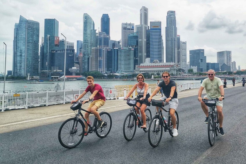 Picture 2 for Activity Singapore: Historical Half-Day Bike Tour